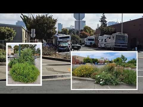 YouTube thumbnail for Revisiting the Illegal Garden