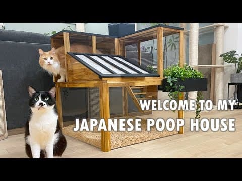 YouTube thumbnail for I made the best litter box ever for my cats | Rachel & Jun's Adventures [23:59]