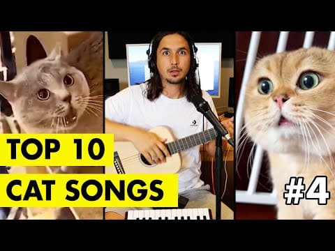 YouTube thumbnail for Top 10 Cat Songs by The Kiffness