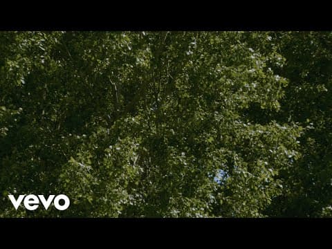YouTube thumbnail for Agnes Obel - Laymelli (Visualizer)