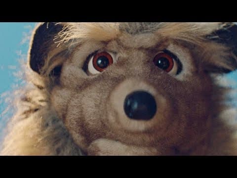YouTube thumbnail for Amazon - Marry Me Just For Fun
