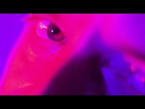 YouTube thumbnail for Neon Lies - Bridges [Darkwave, Synthwave, Electro] (2024)