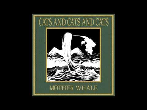 YouTube thumbnail for Cats And Cats And Cats - Match Of The Day
