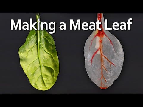 YouTube thumbnail for Man makes a meat leaf