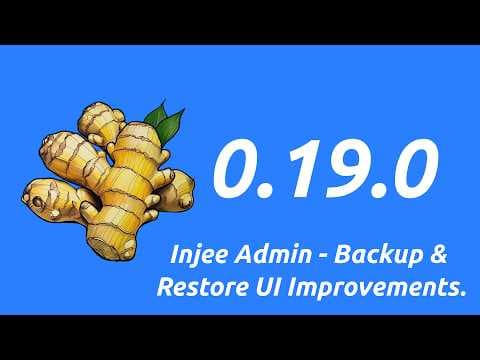 YouTube thumbnail for Injee 0.19.0 - Admin backup and restore improvements