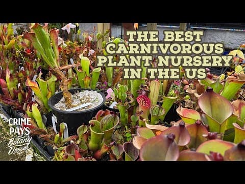 YouTube thumbnail for The Most Epic Carnivorous Plant Nursery