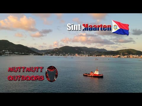 YouTube thumbnail for Sea Turtles in Sint Maarten