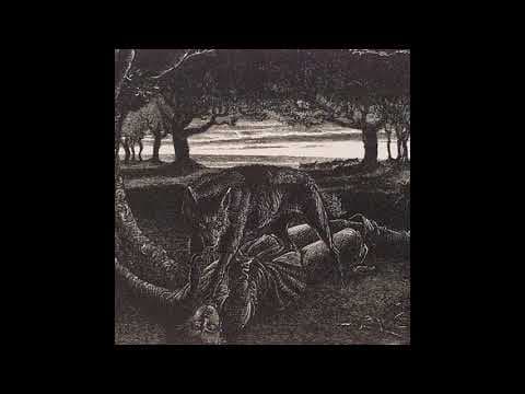YouTube thumbnail for Dwaalicht (Wisp) - Sandsifted (2010?)