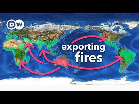 YouTube thumbnail for The Australian tree making wildfires worse everywhere