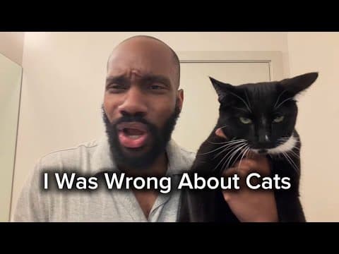 YouTube thumbnail for Cats change people
