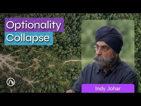 YouTube thumbnail for Nate Hagens and Indy Johar