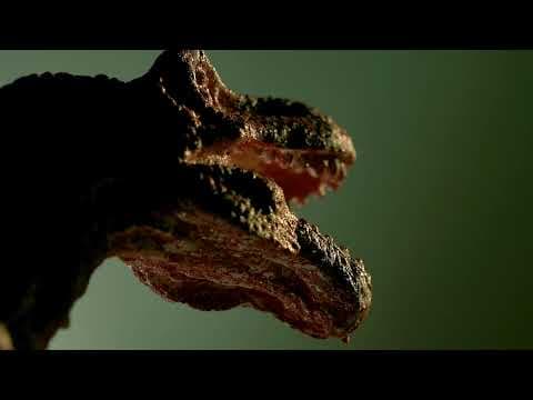 YouTube thumbnail for Mona San - T-Rex (2021)