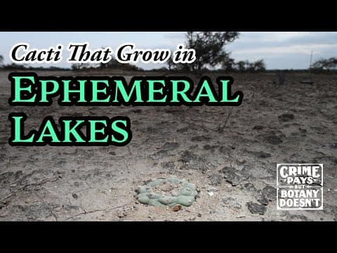 YouTube thumbnail for Cacti That Grow in Lakes