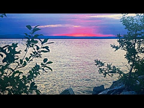 YouTube thumbnail for secluser - bad world