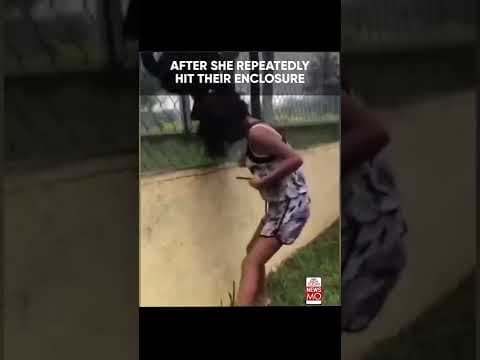 YouTube thumbnail for Women suffers consequences after taunting monkey