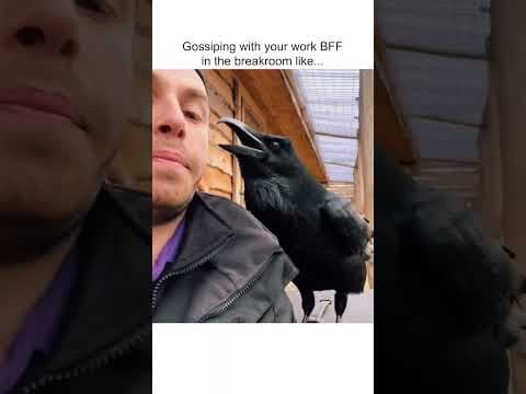 YouTube thumbnail for [Poetry] Gossiping raven
