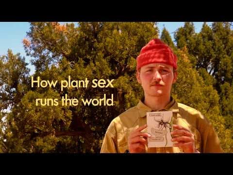 YouTube thumbnail for What happens when you solve life’s biggest question? [MTWH]