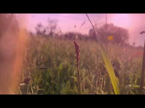 YouTube thumbnail for Loula Yorke – Beautiful Things in Humble Places
