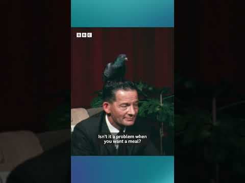 YouTube thumbnail for 1969: The Man With a PIGEON Living on his HEAD | BBC News | Weird and Wonderful | BBC Archive