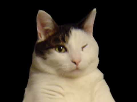 YouTube thumbnail for I do sexy things to myself when I'm dannncing