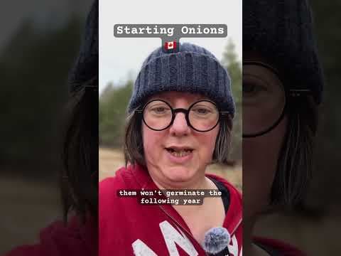 YouTube thumbnail for Growing onion seeds