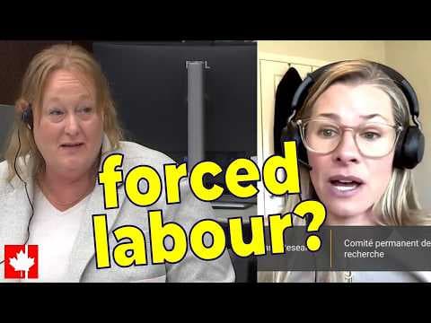 YouTube thumbnail for Are cheap Chinese EVs worth the moral cost? Witness stunned by questions ơn forced labour in China - (video, 4 min)