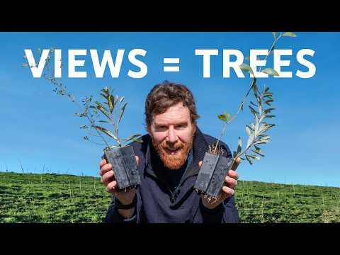 YouTube thumbnail for YouTube video that's planting a forest - IN AUSTRALIA!