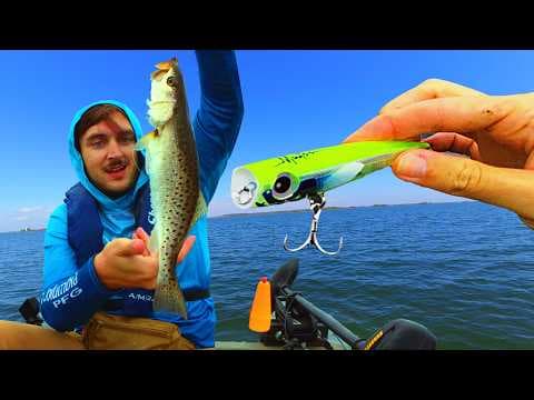 YouTube thumbnail for Speckled Trout vs. Tuna Lures | Camping St. Marks, FL