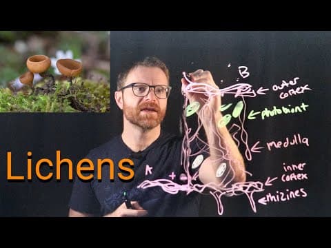YouTube thumbnail for Lichens Are Wild! Mugsy Explains