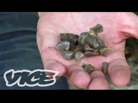 YouTube thumbnail for World's Scariest Drug (Documentary Exclusive)