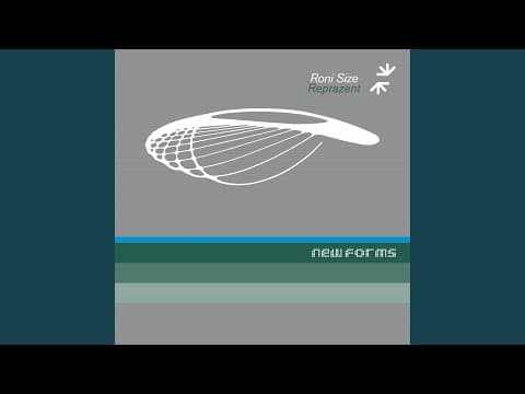 YouTube thumbnail for Song of the Day: Brown Paper Bag by Roni Size / Reprazent