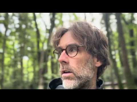 YouTube thumbnail for Finnegans wake: the first page while trying to get out of a forest