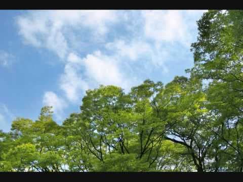 YouTube thumbnail for The Durutti Column - Otis [1989]