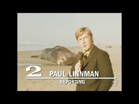 YouTube thumbnail for The Exploding Whale