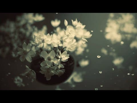 YouTube thumbnail for 5 Hours of Uplifting Ambient Music for 🛌 Sleep