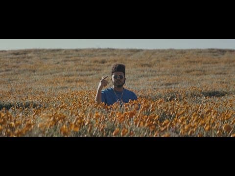 YouTube thumbnail for Blu & Exile - True & Livin'