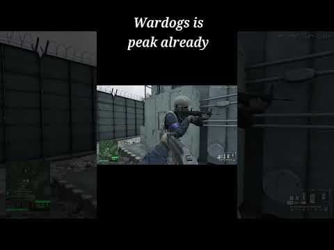 YouTube thumbnail for How are you all finding Wardogs so far?