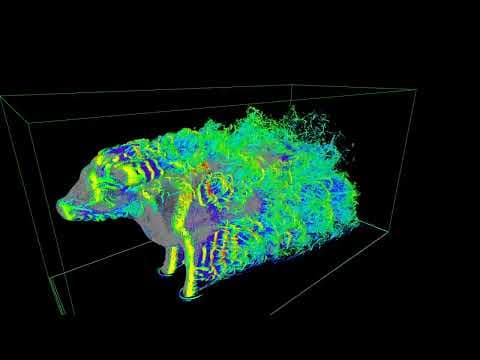 YouTube thumbnail for Aerodynamics of a cow