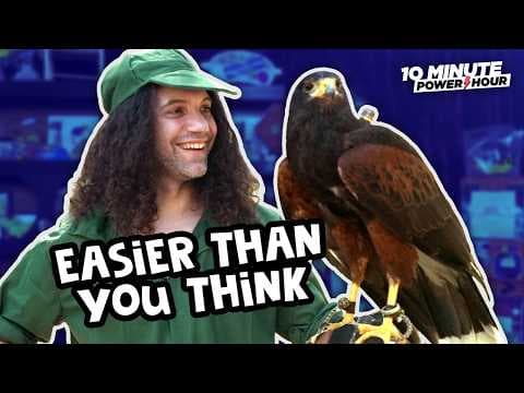 YouTube thumbnail for Learning Falconry | The Grumps