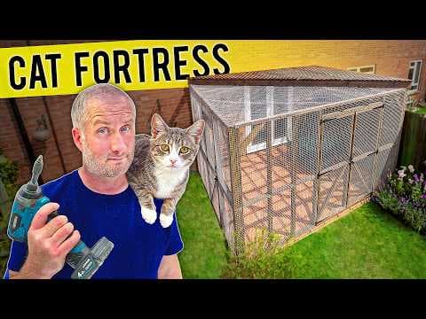 YouTube thumbnail for Build a Catio