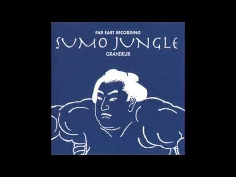 YouTube thumbnail for Soichi Terada — Sumo Jungle [1996, jungle]