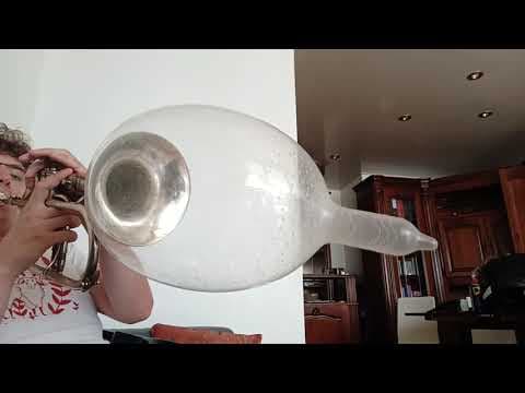 YouTube thumbnail for Super Mario Bros Condom Trumpet [2:28]