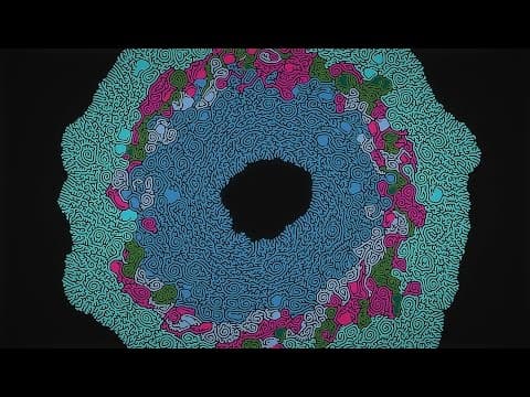 YouTube thumbnail for Max Cooper - Order From Chaos