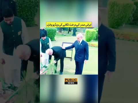 YouTube thumbnail for The Real McCoys (IRAN) vs The TURDZ