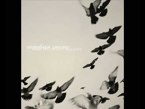 YouTube thumbnail for Venetian Snares - Szamar Madar (Breakcore, Classical)