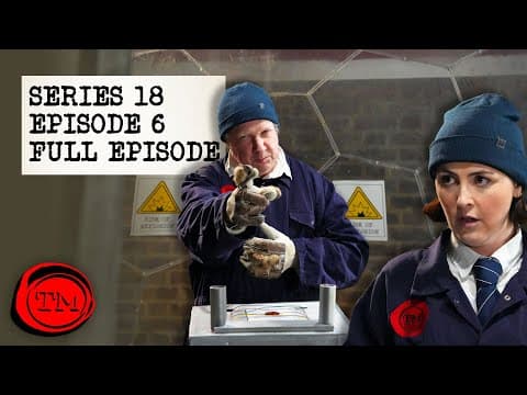 YouTube thumbnail for Taskmaster series 18, episode 6 - A dance as old as time itself