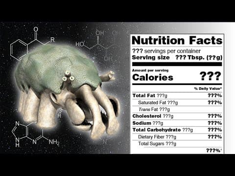 YouTube thumbnail for Biblaridion - Would Aliens Be Edible?