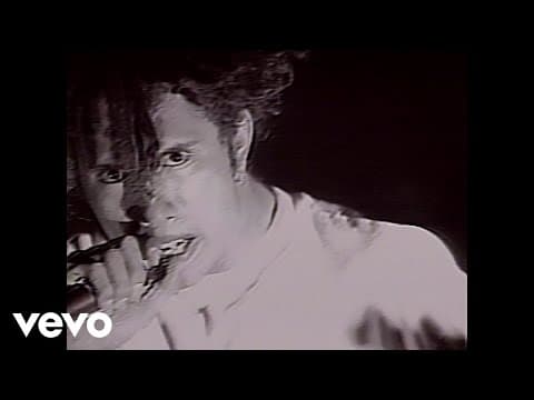 YouTube thumbnail for Rage Against The Machine - Killing In the Name