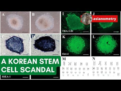 YouTube thumbnail for The fall of the Korean stem cell scam