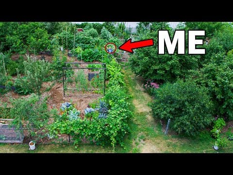 YouTube thumbnail for 10 Years Later, From Normal Backyard To Permaculture Garden (Unseen Footage)